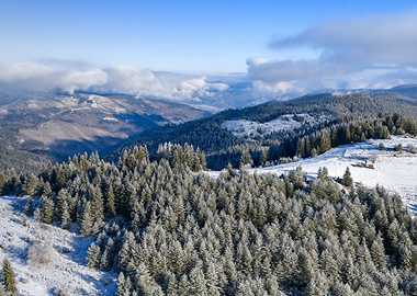 Snow-covered mountain forest landscape