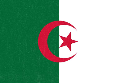 Algeria Flag Distressed