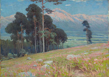 Mountain Landscape with Pine Trees and Meadow
