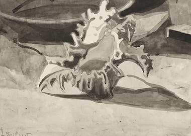 Seashell still life watercolor