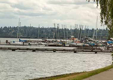 Sailboats docked on a cloudy day