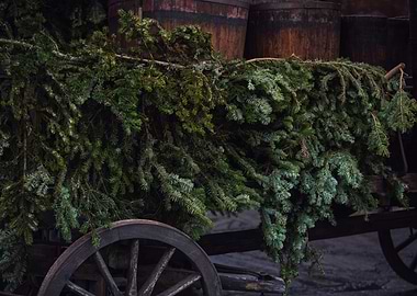 Christmas Tree on Old Cart