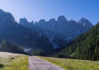 Mountain Road with Pine Forest - Val Venegia