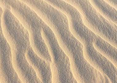 Sand Dunes Ripples