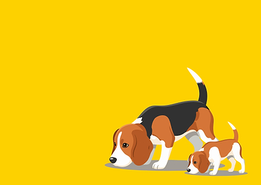 Beagle dogs sniffing the ground