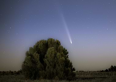 Comet in the Night Sky Over Landscape
