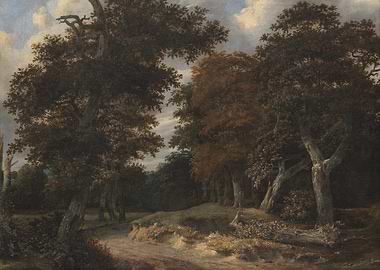 Forest Path with Majestic Trees