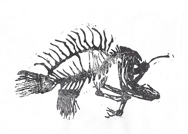 this used to be an anglerfish