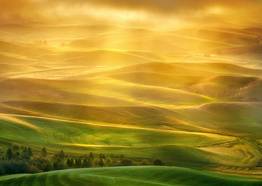Golden Hour Rolling Hills Landscape