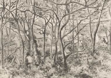 Person in a Forest Landscape