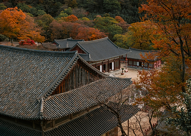 Autumn Temple in Korea