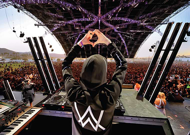 DJ Alan Walker Performs at Festival