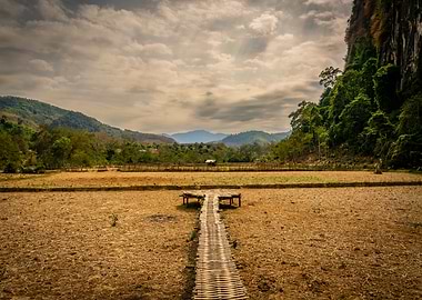 Bamboo walkway through a dry field