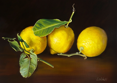 Three Lemons on a Branch
