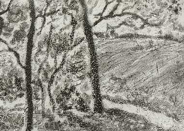 Landscape Panorama Part 3