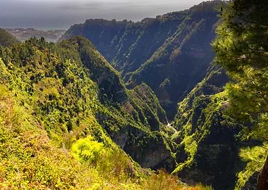Lush Green Mountain Valley Overlooking Ocean