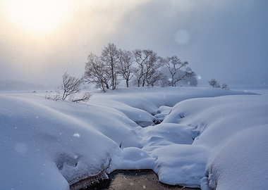 Snowy landscape with stream and trees