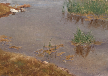 Water and Reeds by the Shore