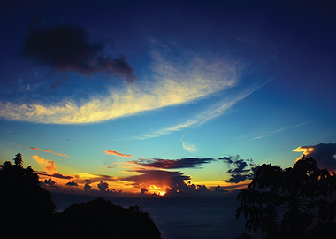 Dramatic Sunset Over Ocean with Silhouetted Trees
