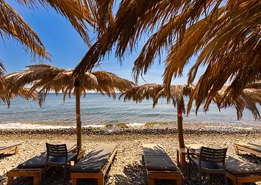 Tropical Beach with Palm Thatch Umbrellas and Loungers