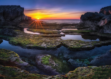 Starfish in Tide Pool at Sunset