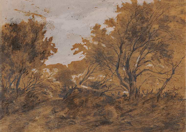 Sketch of a Woodland Path