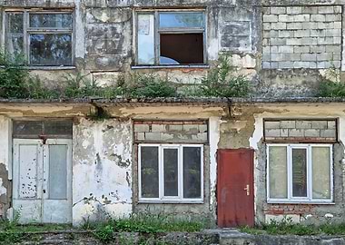 Abandoned Building Facade with Overgrown Vegetation