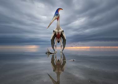 Pterodactyl on a Salt Flat