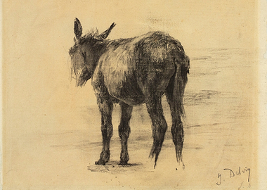 Donkey Sketch