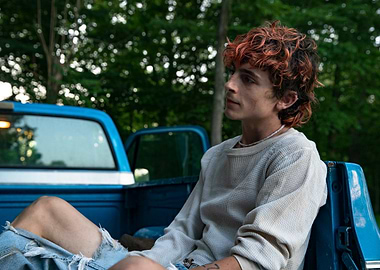 Timothée Chalamet in a Pickup Truck