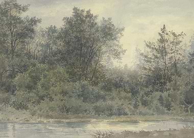 Misty Forest by the Water