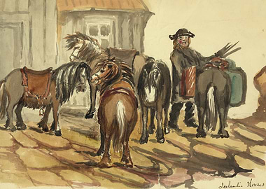 Icelandic horses and rider