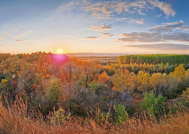 Autumn Forest at Sunset