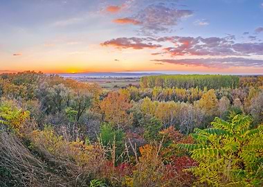 Autumn forest at sunrise