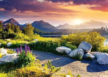Mountain Lake Sunrise with Purple Lupines