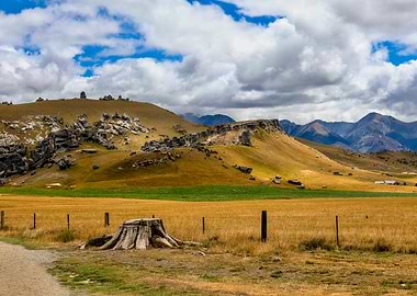 Golden Fields & Rocky Hills (Castle Hill, New Zealand)