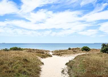 Path To Paradise (Tauranga, Papamoa Beach)