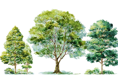 Watercolor Trees and Bushes