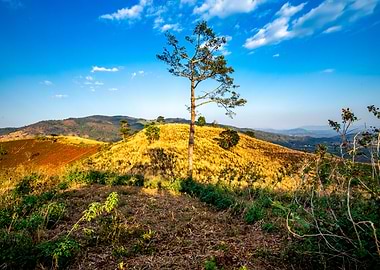 Scenery on Top the Ancient Volcano in Gia Lai, Vietnam.