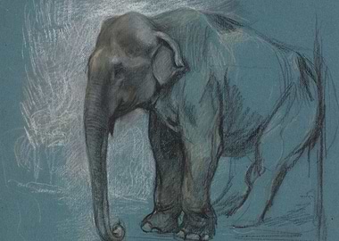 Elephant sketch on blue paper