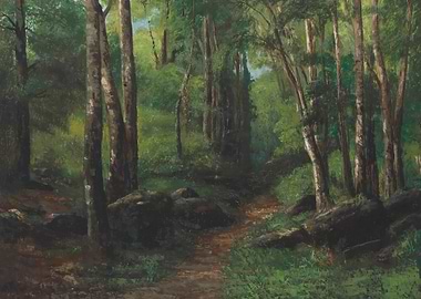 Forest Path with Trees and Rocks