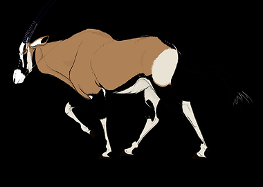 Charging African Oryx Wall Art – Dynamic Safari Wildlife