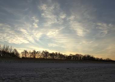 Winter Beach Sunset with Trees