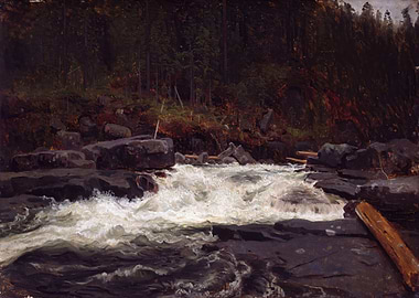 Rushing River Through Rocky Forest