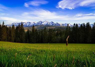 Tatry Mountain Landscape with Meadow and Forest