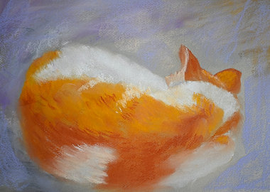 Sleeping Orange and White Cat