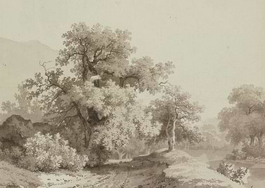 Serene Woodland River Scene