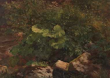 Detailed Forest Scene with Bird