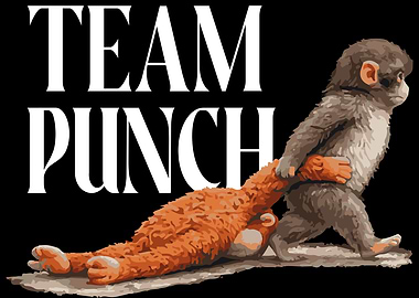 Team Punch Japanese Baby Monkey and Toy