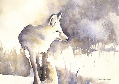 Watercolor Fox in Tall Grass